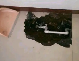 隆回卫生间测漏水多少钱